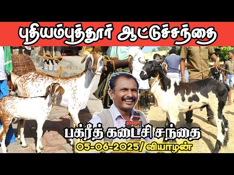 05-06- 2025/ புதியம்புத்தூர் ஆட்டு சந்தை தூத்துக்குடி மாவட்டம்