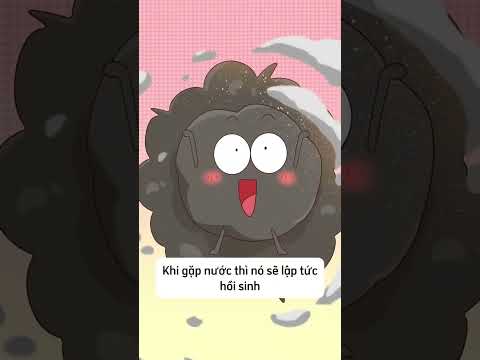 Bạn có dám thử món ngon kinh dị nhìn như búi tóc này không    YouTube