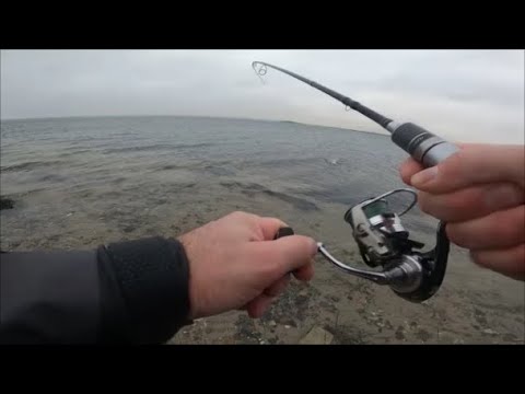 To klovne på fisketur: Jacob og Søren ved Limfjorden, 17. december 2023