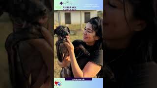 Cachorro Negligenciado É Salvo E Ganha Motivos Para Sorrir!