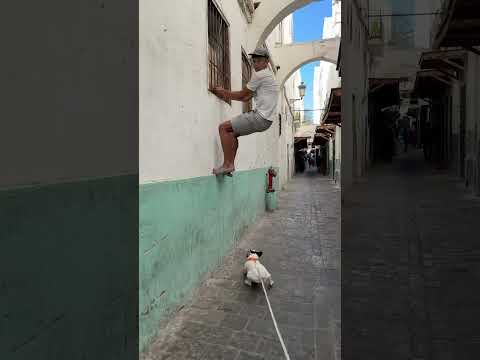 حصلة خانزة🤣🤣 #bulldog #dog #اكسبلور #tetouan #rottweiler #dogbreed #maroc #spain #france Si