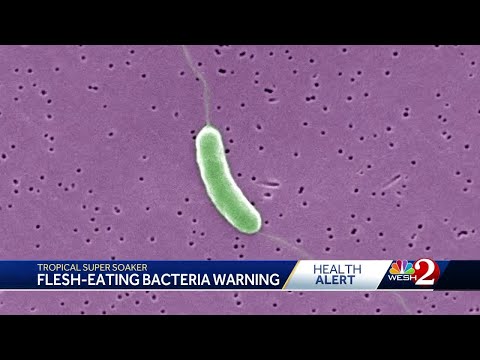 YouTube video thumbnail: Flesh-Eating Bacteria Kills Four People in the State of Florida