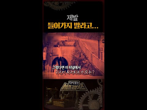 귀신이 목격되는 터널 #<strong>서프라이즈</strong>