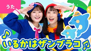 ♪いるかはザンブラコ〈振り付き〉イルカはザンブラコ おおなみザンブラコ はねるぞ〜♪【童謡・子どもの歌】