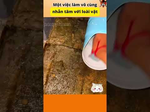 một việc làm vô cùng nhẫn tâm với loài vật #funny #thuvi #cothebanchuabiet #animals #thegioidongvat