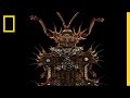 Macro Photography Insights and Techniques