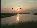 Estuary Salinity and Ecosystems