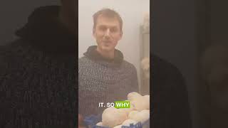 Benefits of Lion Mane Mushrooms - | Grocycle #shorts