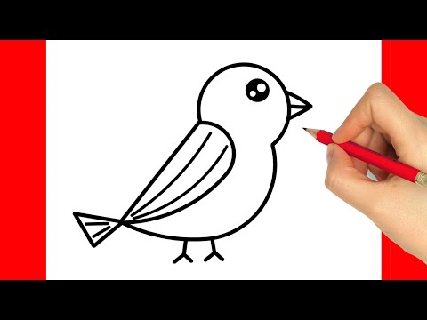 HOW TO DRAW A BIRD EASY