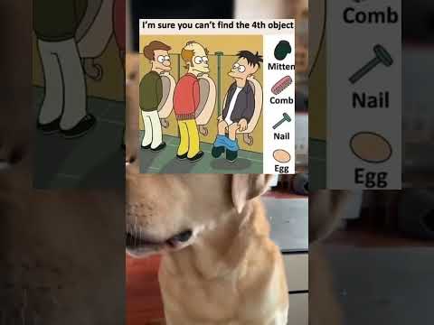 #memes #story #dog #shorts #pets