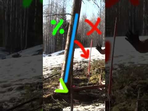 FINNISH POWER JACK