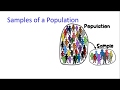 Sampling Bias and Representativeness