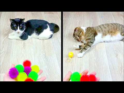 Satisfying Reverse Video ASMR 💥 Marble Run and More