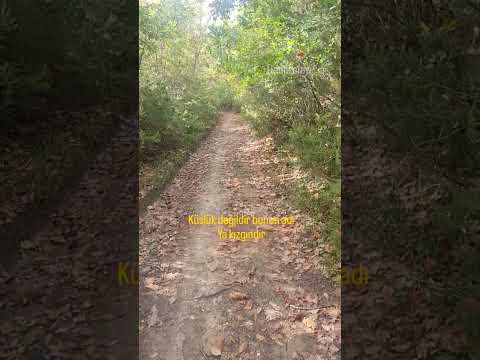 Sadece bilmen gerek 🥀 #kırgın #kızgın #kırıkkalp #uzakşehir #doğa #sadakat #shotsviral #ayrılık #biz