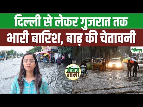 Weather Update: UP, Gujarat, Rajasthan में Flood जैसे हालात, बारिश की तबाही जारी #monsoon #rainalert