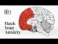 Understanding Anxiety and Brain Plasticity