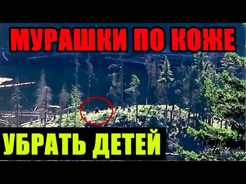 
СРОЧНО!!! 29.08.2025!!! ОН СУЩЕСТВУЕТ!!! ОНИ ВЫШЛИ ИЗ ТЕНИ И РЕШИЛИСЬ К СОТРУДНИЧЕСТВУ!!!!