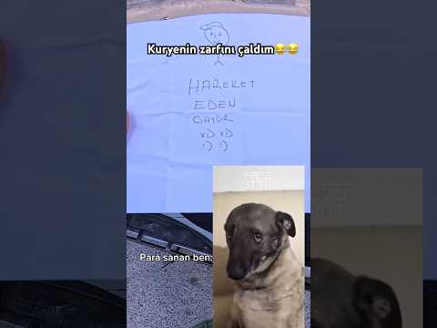 Sizce zarftan ne çıktı😂😂 #keşfet #motovlog #kurye #motor #viral #fyp #fypシ゚viral #tiktok