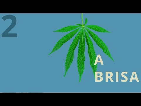 Drauzio Dichava #2 | A brisa