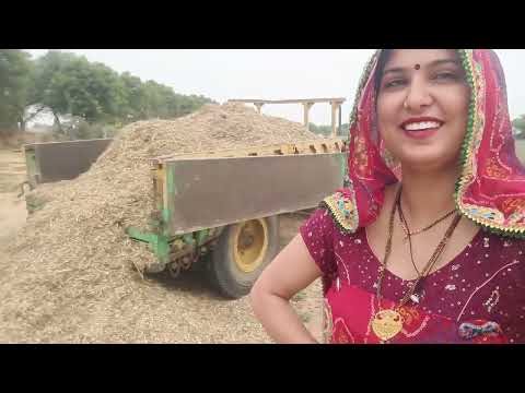 हमारे दोनों में ज्यादा काम कोन करता है//#shekhawatistudios 