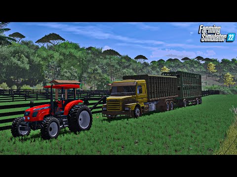 Fazenda simulada #21 | Chegou o gado que comprei do João | Farming simulator 22