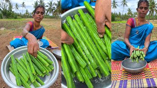 Homemade Drumstick Pickle | Spicy & Tangy Recipe