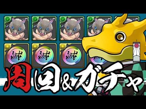 魔法石1000個で鬼滅ガチャ&周回【パズドラ】