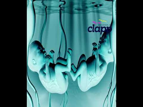 Twins Inside the Womb (3D Animation)