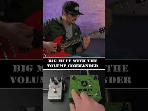 Big Muff Fuzz With the Morley Volume Commander #guitarist