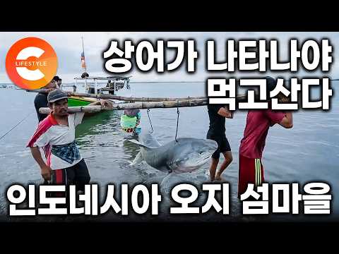 나라에서 유일하게 허락했다.모든 어부들이 상어를 잡고 사는 국가가 허락한 상어잡이 마을, 청년 어부들의 목숨 건 출항ㅣ#인간과바다
