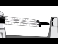 Measuring Mass with a Triple Beam Balance