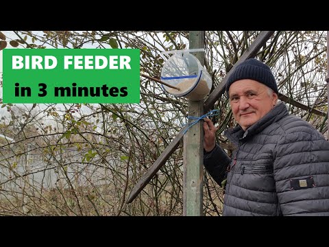 How to Make a Simple Bird Feeder DIY in Minutes