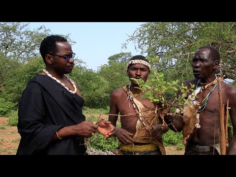 TAZAMA DAWA WANAZO ZITUMIA WAHADZABE KUJITIBU NA MAGONJWA, WANAKULA MIZIZI, DK RIZIKI AFANYA ZIARA