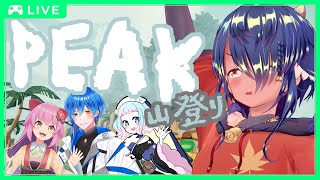 【 #PEAK 】みんなで楽しく山登り🏔✨【 #コラボ  】