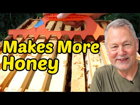 Beekeeping: Surprising Way To Make More Honey! Does It Work?