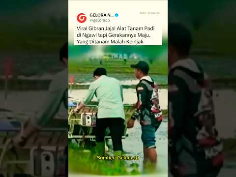 Viral Gibran Jajal Alat Tanam Padi di Ngawi tapi Gerakannya Maju, Yang Ditaman Malah Keinjek