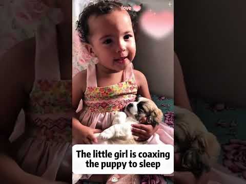 Phillies land All-Star closer Jhoan Duran ahead of MLB trade deadline 👀🔥 #JhoanDuran