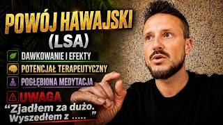 Powój Hawajski (LSA) 🌱 Uzdrawianie Traum. Medytacja. Neuroplastyczność 🧠✅ Terapia Psychodeliczna 