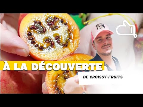 Avec Croissyfruit, tu ne verras plus les fruits comme avant ! Et toi, tu préfères lequel ?