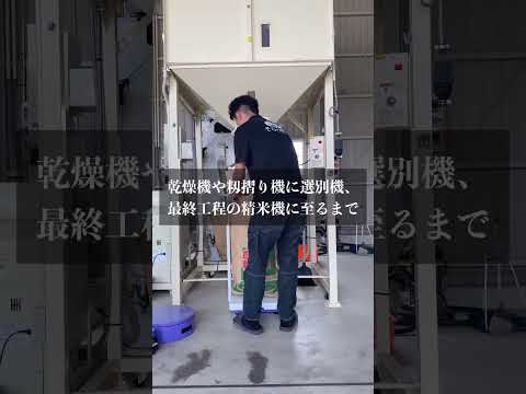 自然栽培米「そらのほたる米」のこだわり🌾#そらの野菜 #自然栽培 #無農薬野菜 #無農薬 #無農薬無肥料#マクロビオティック #マクロビ #野菜宅配 #そらの野菜 #たはら暮らし #shorts