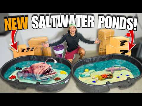 SHOPPING SPREE For My New ANGLER FISH & TIDE POOL PONDS!