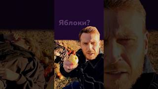 Почему французы падают в яблоки 🍎