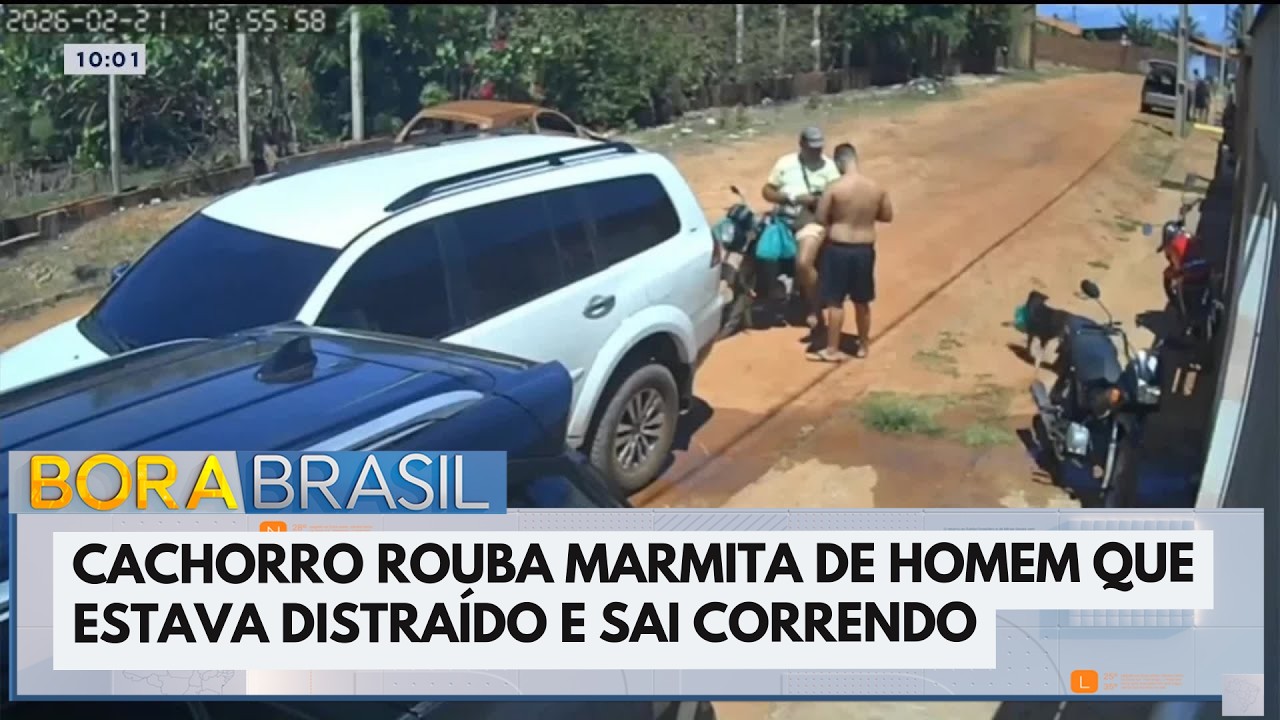 Cachorro rouba marmita de homem e sai correndo