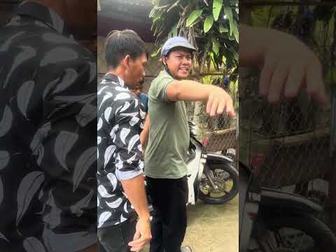 Nuôi động vật thả ra đường gây tai nạn còn bắt người khác đền bù hả #phulentv