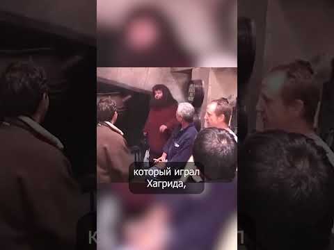 Гарри Поттер и телефон Хагрида #shorts #гаррипоттер