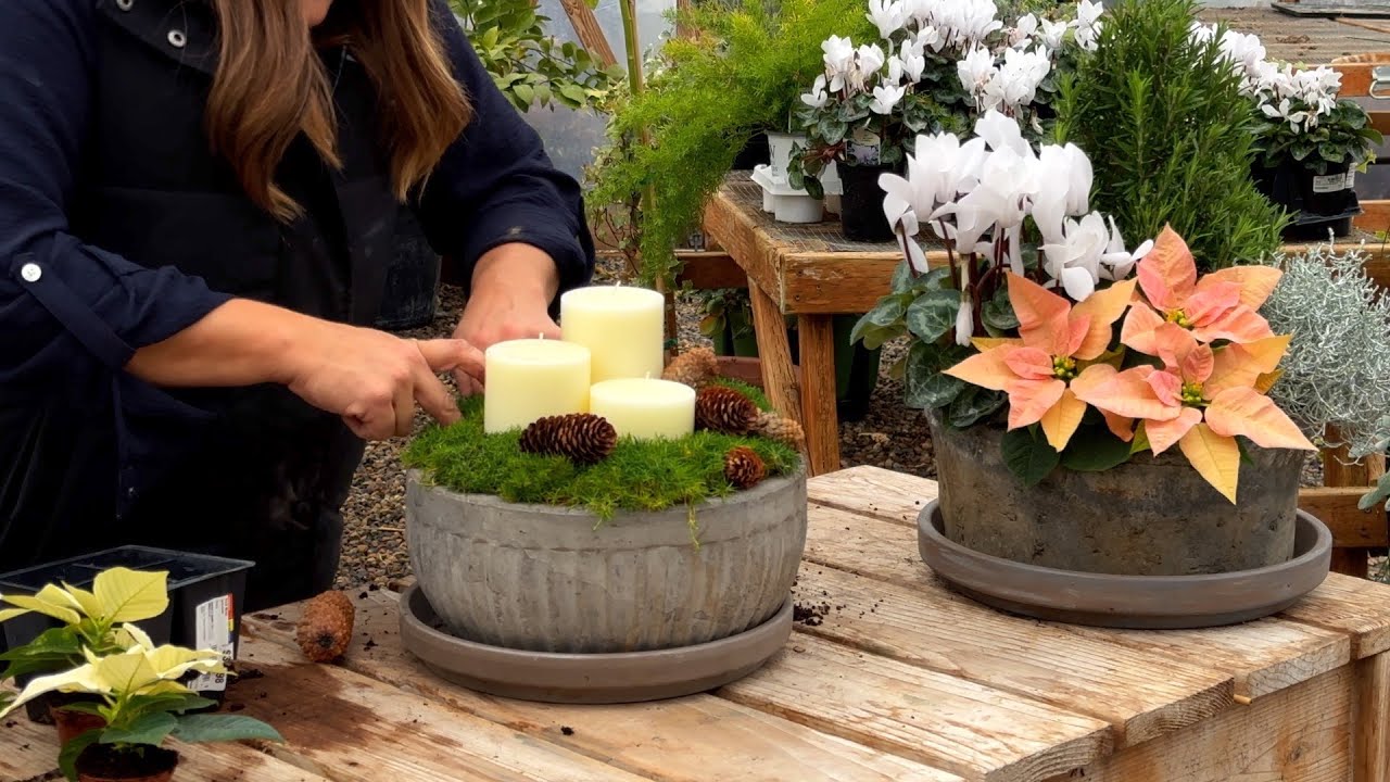 Planting 2 Holiday Centerpieces & Finishing the Eastside Pots for Winter!