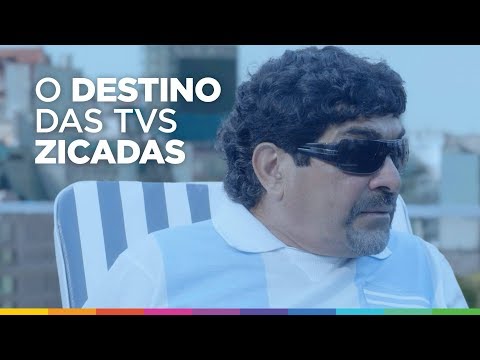 Magazine Luiza manda TVs zicadas pra Argentina #ZicaPraArgentina