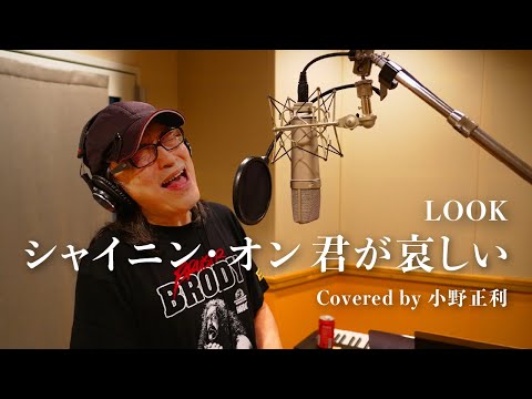 【小野正利が歌ってみた】シャイニン・オン君が哀しい/LOOK