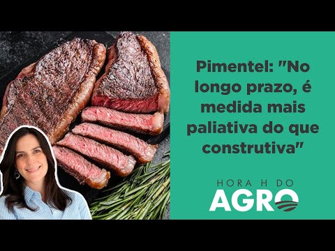 Bolsa Carne de Lula vai elevar preço da carne e do boi? | HORA H DO AGRO