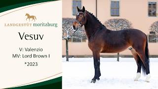 VESUV v. Valenzio - Lord Brown I